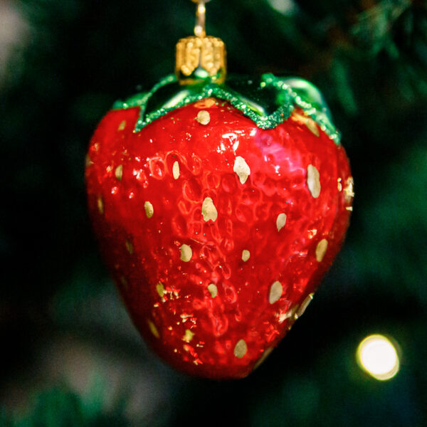 Strawberry 1k0a3223