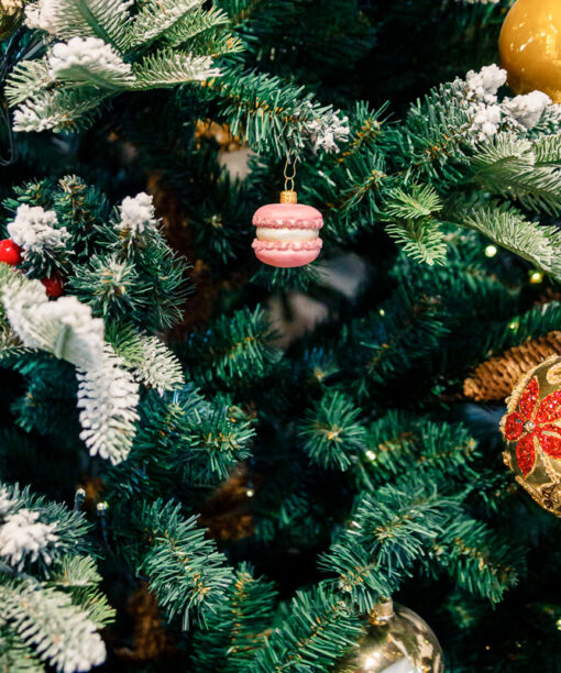 Pink macaroon  1k0a3227