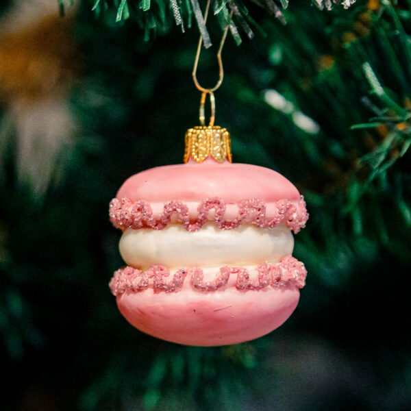 Pink macaroon 1k0a3228
