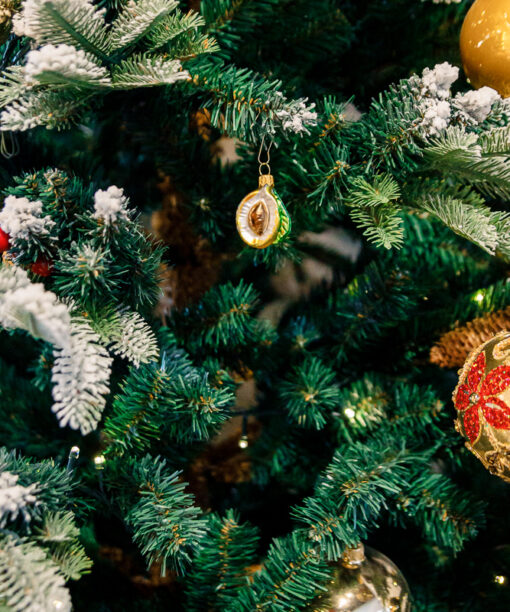 Mirabelle plum  1k0a3238