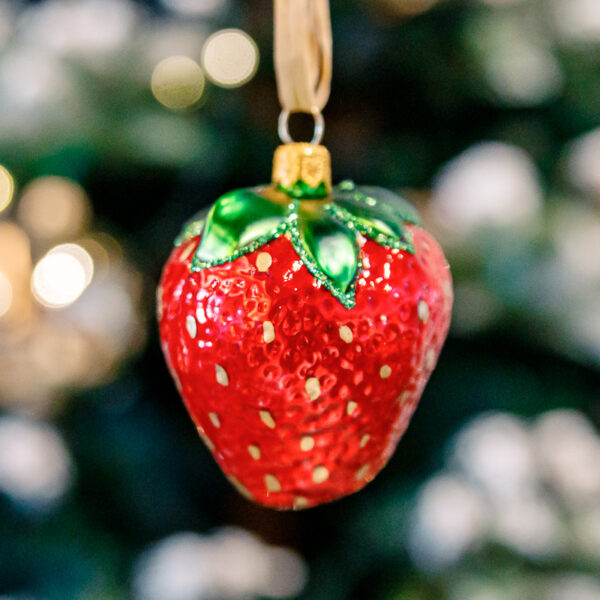 Strawberry 1k0a3337