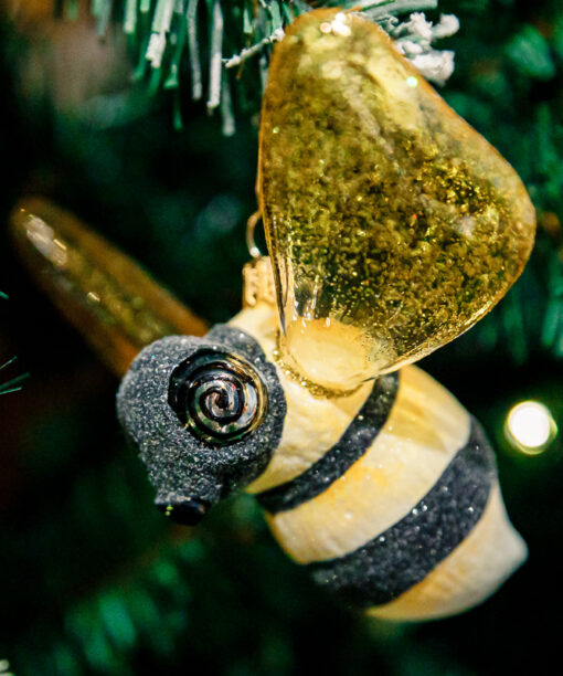 Insects- Bumblebee (bittern) bee Sierpien2 45