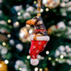 A piebald dachshund in a Santa's hat  19 08 13