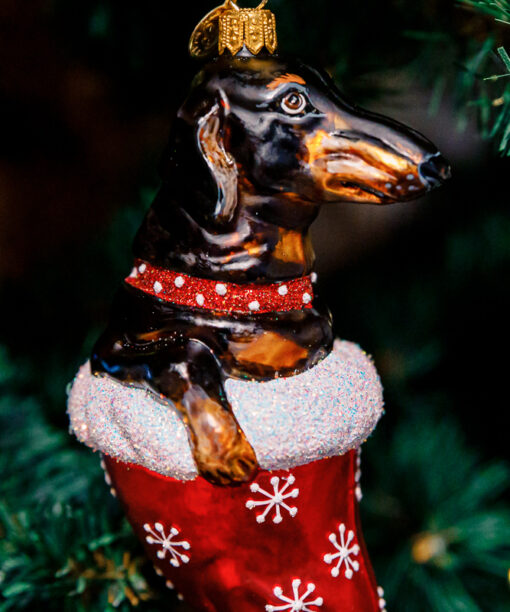 Black dachshund in a Santa's hat  19 08 33