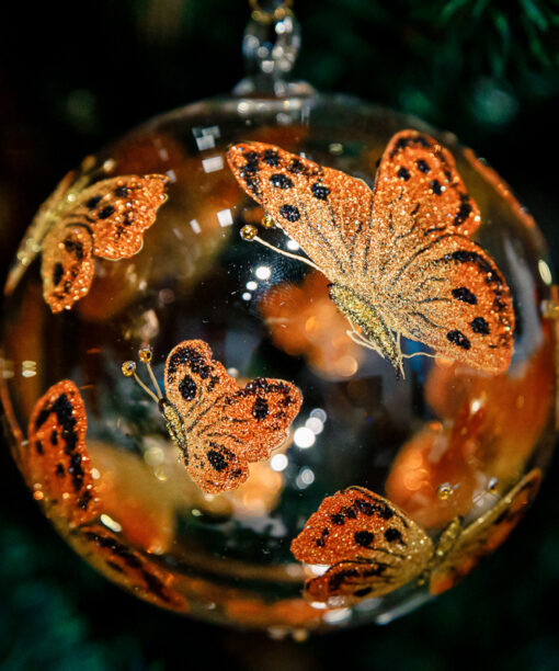 Orange butterflies  1k0a0571