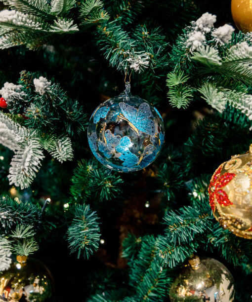 Blue butterflies  1k0a0591