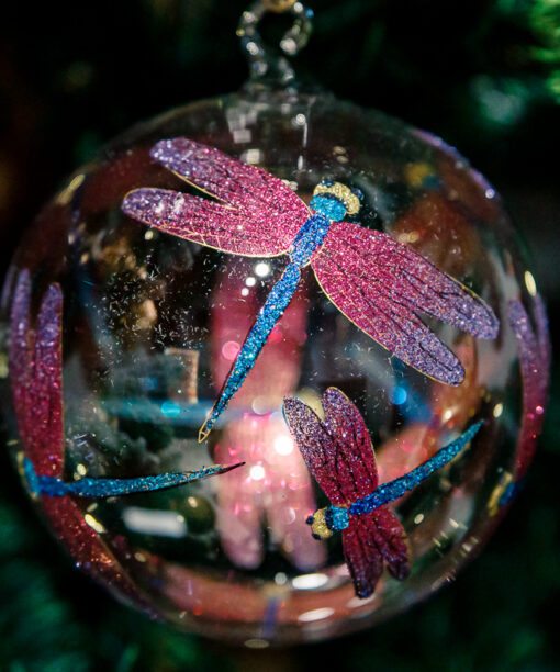 Pink dragonflies  1k0a0593