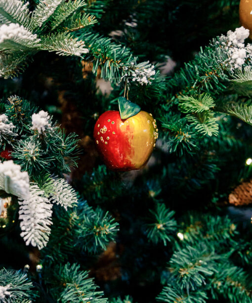 Juicy apple with diamonds  1k0a7913