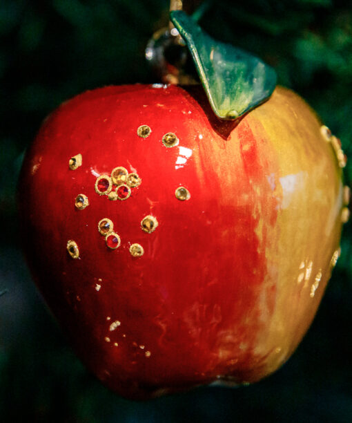 Juicy apple with diamonds  1k0a7916