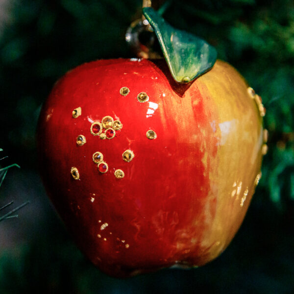 Juicy apple with diamonds 1k0a7916