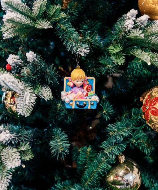 Girl in a suitcase  1k0a7924