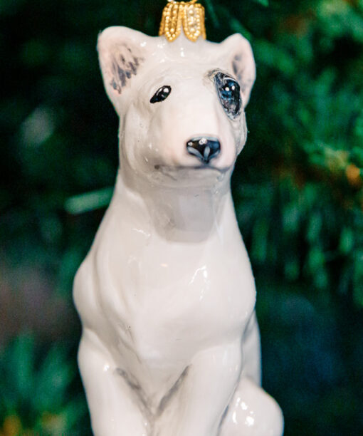 Dogs Komozja - White bull terrier  1k0a7927