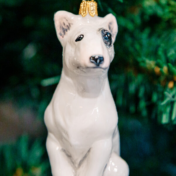 Komozja - Psy - Biały bullterrier 1k0a7927