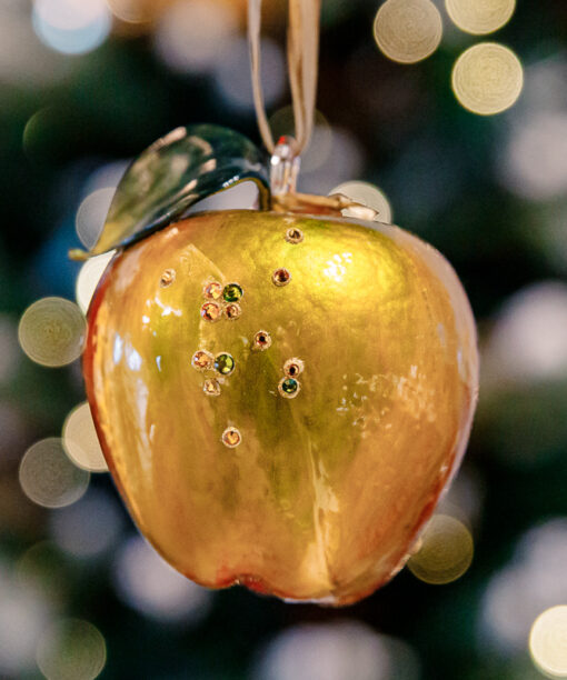 Juicy apple with diamonds 1k0a7938