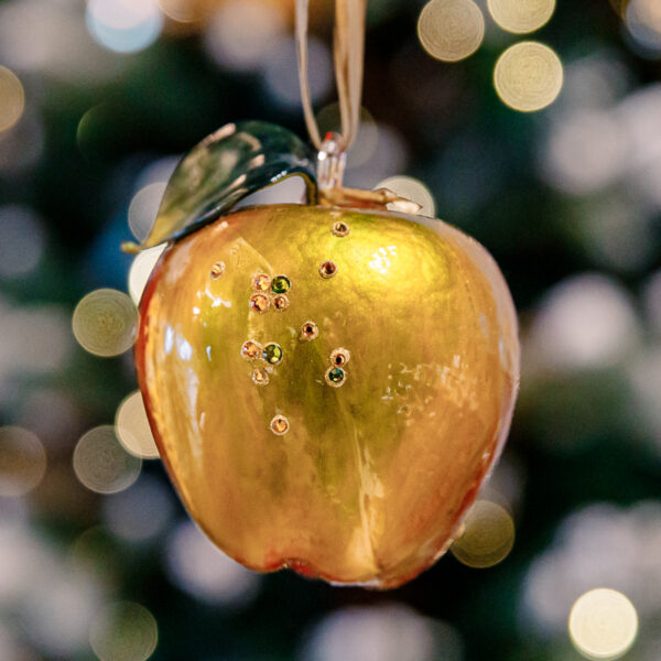 Juicy apple with diamonds 1k0a7938