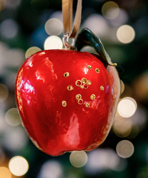 Juicy apple with diamonds 1k0a7940