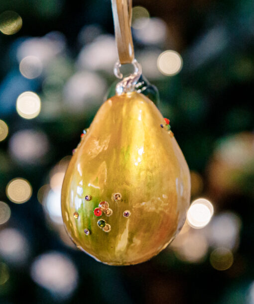 Juicy pear with diamonds 1k0a7942