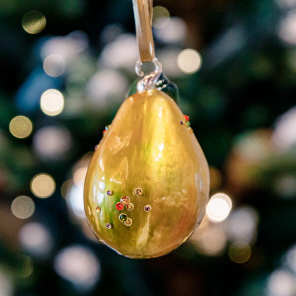 Juicy pear with diamonds 1k0a7942