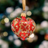 Heart - Red Daisy  1k0a3373