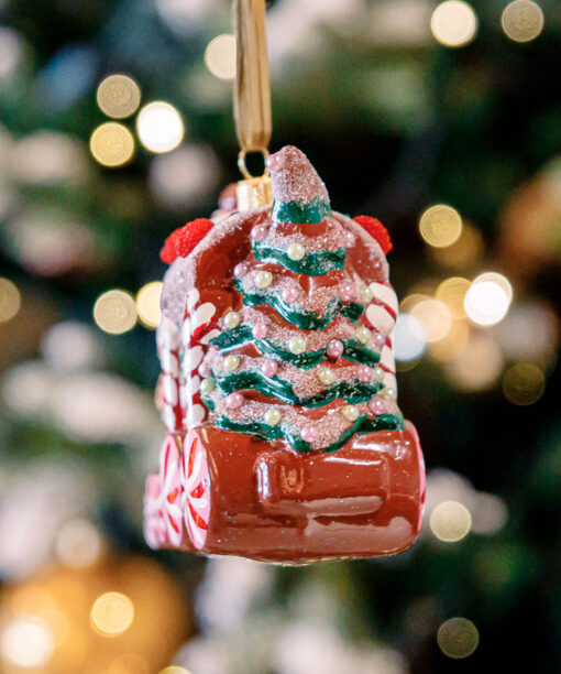 Gingerbread and frosted locomotive vol.2  1k0a3391