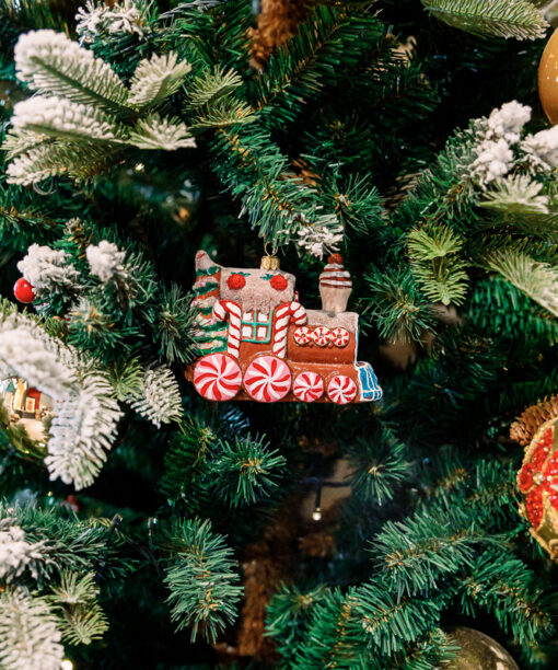 Gingerbread and frosted locomotive vol.2  1k0a3393