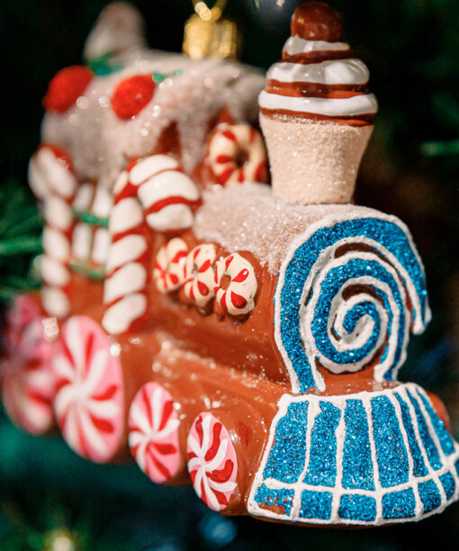 Gingerbread and frosted locomotive vol.2  1k0a3394