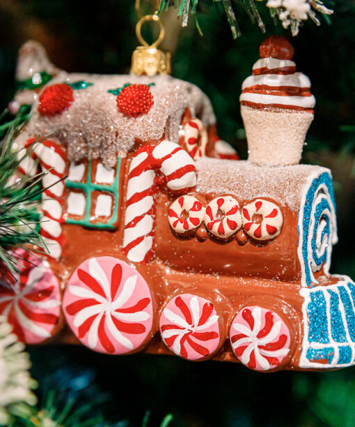 Gingerbread and frosted locomotive vol.2  1k0a3395