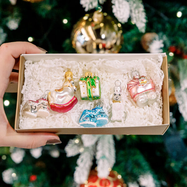 Mini set - The birth of a baby 1k0a3556