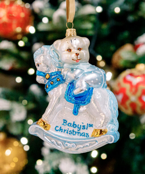 Boy's first christmas  1k0a3616