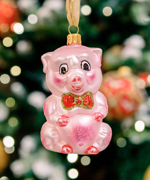 Pink piggy  1k0a3626