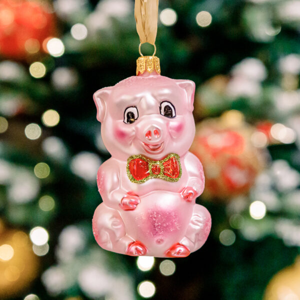 Pink piggy 1k0a3626