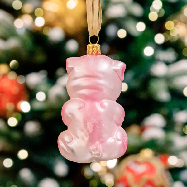 Pink piggy 1k0a3627