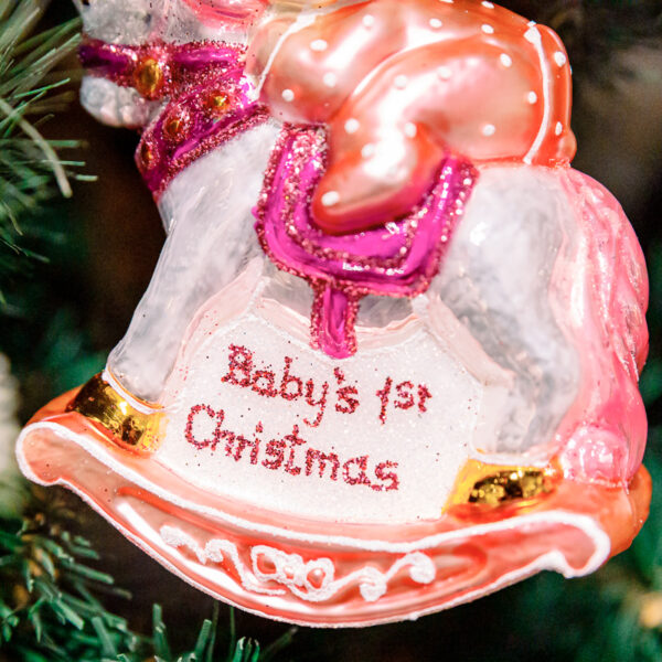 Girl's first christmas 1k0a3703