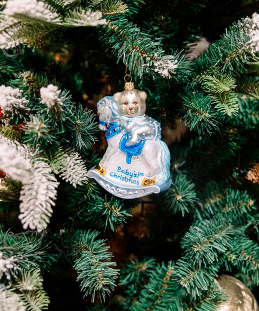 Boy's first christmas  1k0a3704