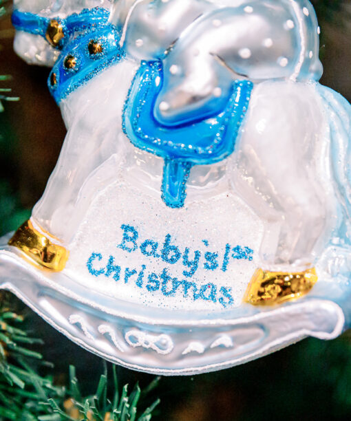 Boy's first christmas  1k0a3706