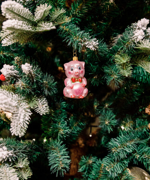 Pink piggy  1k0a3735