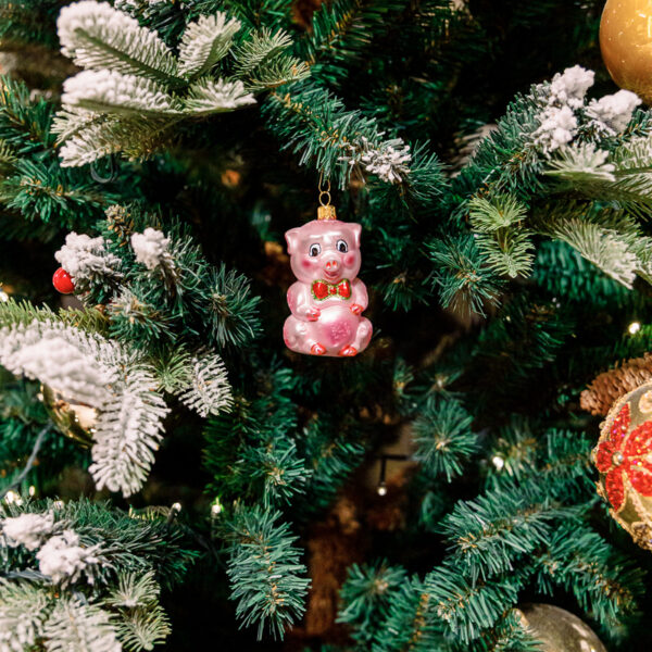 Pink piggy 1k0a3735
