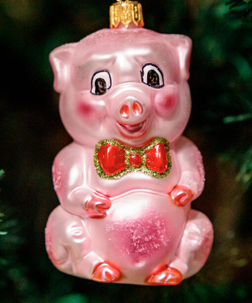 Pink piggy  1k0a3736