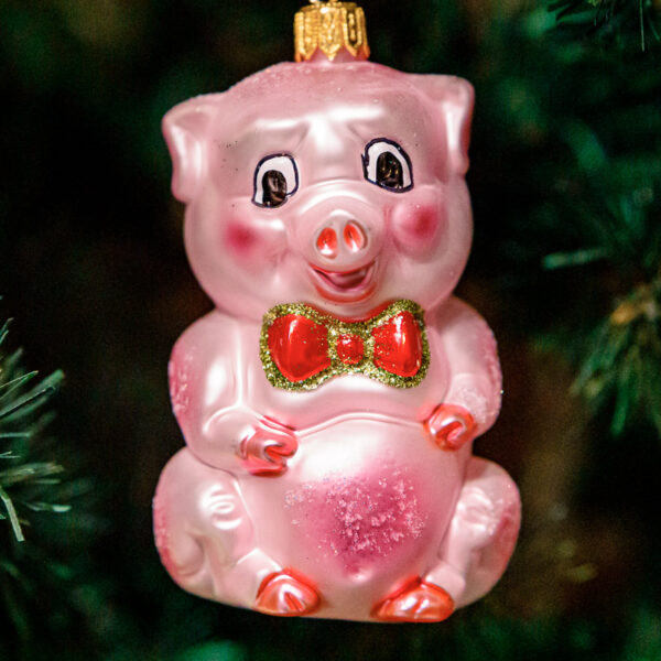 Pink piggy 1k0a3736