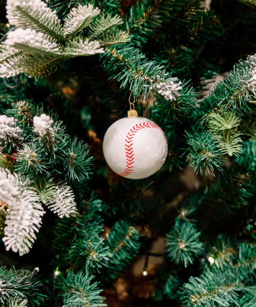 Baseball ball 1k0a3739