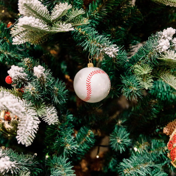 Baseball ball 1k0a3739