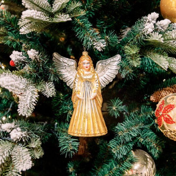 Golden angel 1k0a3754