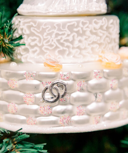 Newly Weds  1k0a3759