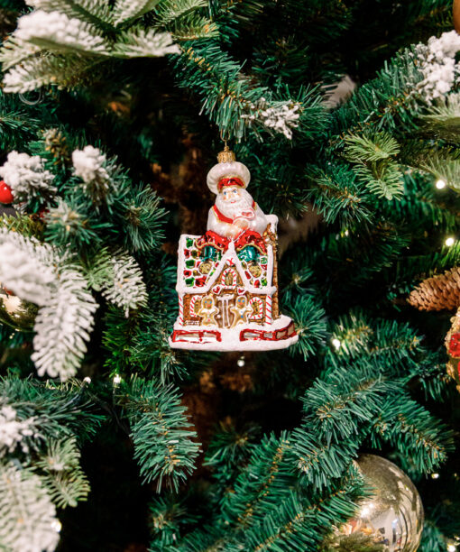 Santa Claus and a gingerbread house  1k0a5905