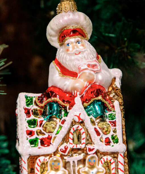 Santa Claus and a gingerbread house  1k0a5906