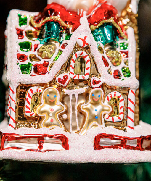 Santa Claus and a gingerbread house  1k0a5907