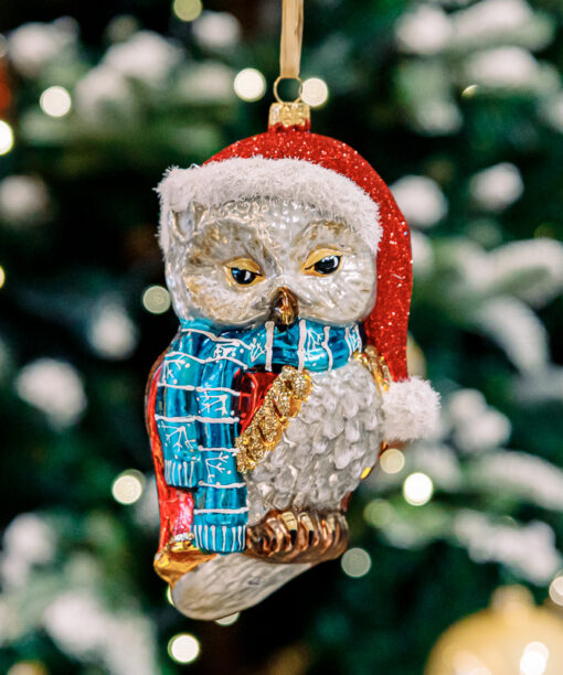 Scandinavian owl 1k0a5951