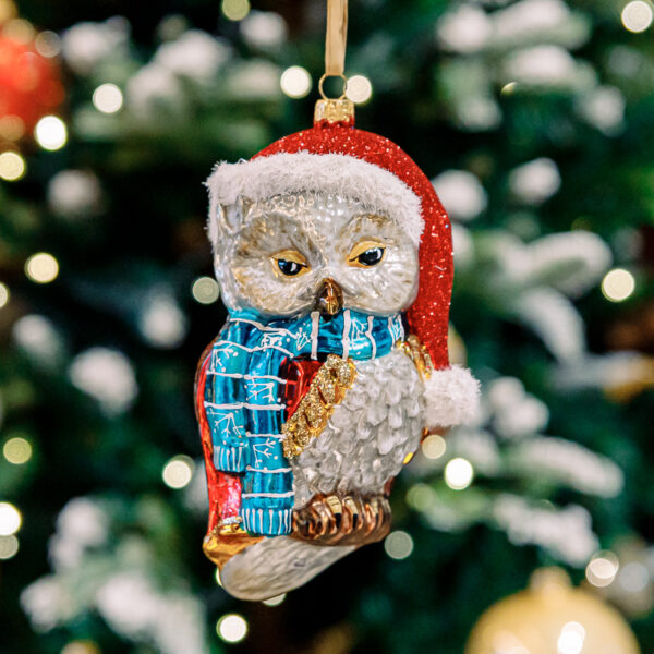 Scandinavian owl 1k0a5951