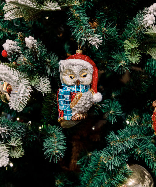 Scandinavian owl  1k0a5969