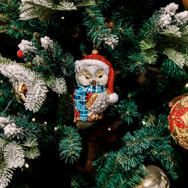 Scandinavian owl 1k0a5969